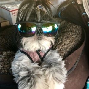 Meet your Posher, Constance